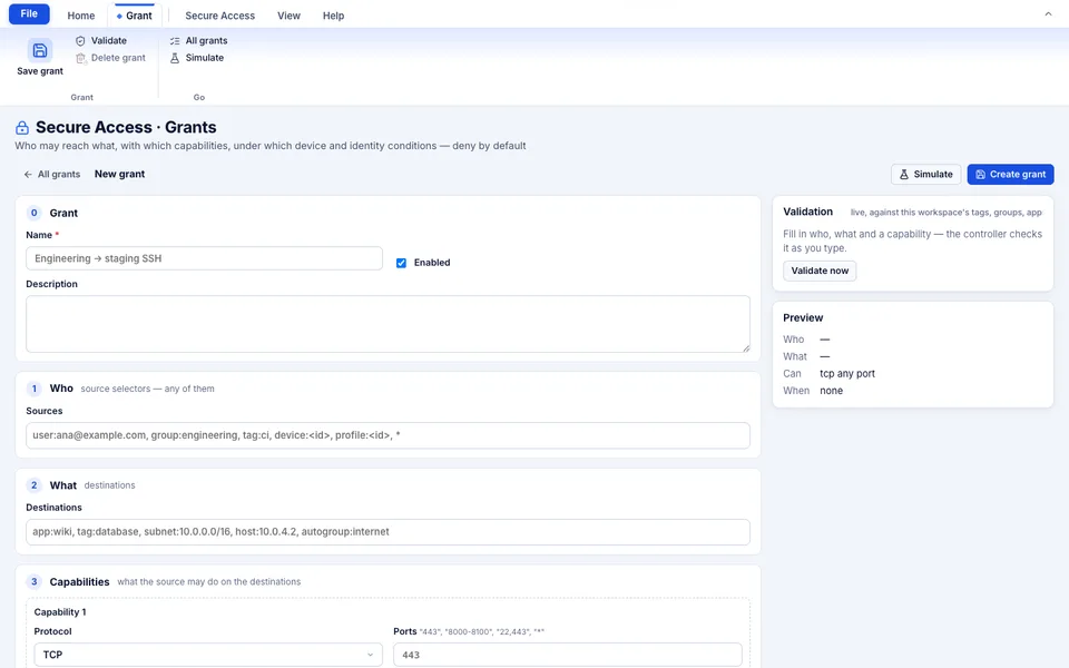 TotalHeal console, Secure Access grants: a new grant with who, what and capabilities, live validation and a preview